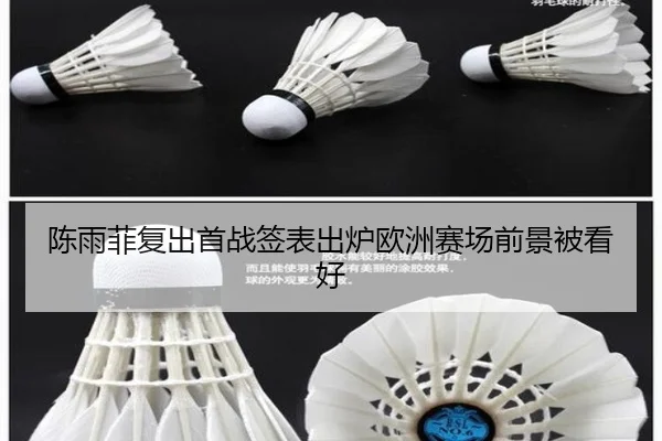 陈雨菲复出首战签表出炉欧洲赛场前景被看好